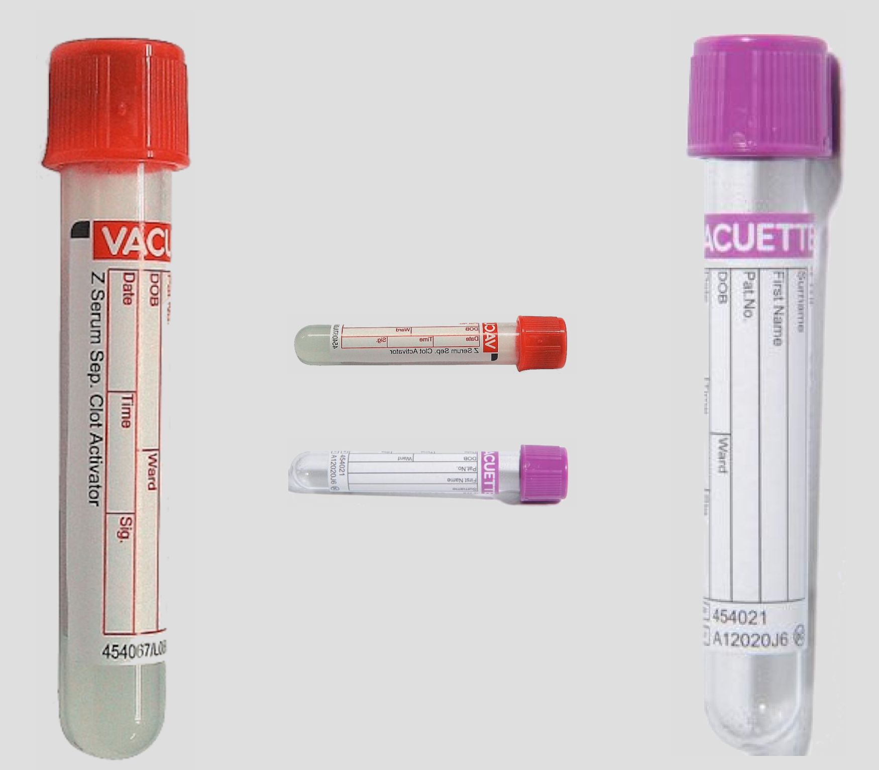 Un Technicien Preleve 40 0 Ml Lefil.vet